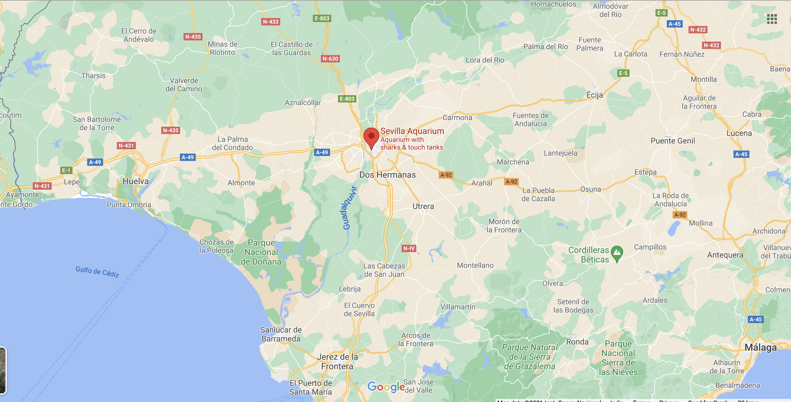 Biglietti Acquario Siviglia 2021 Acuario De Sevilla Sconti E Offerte