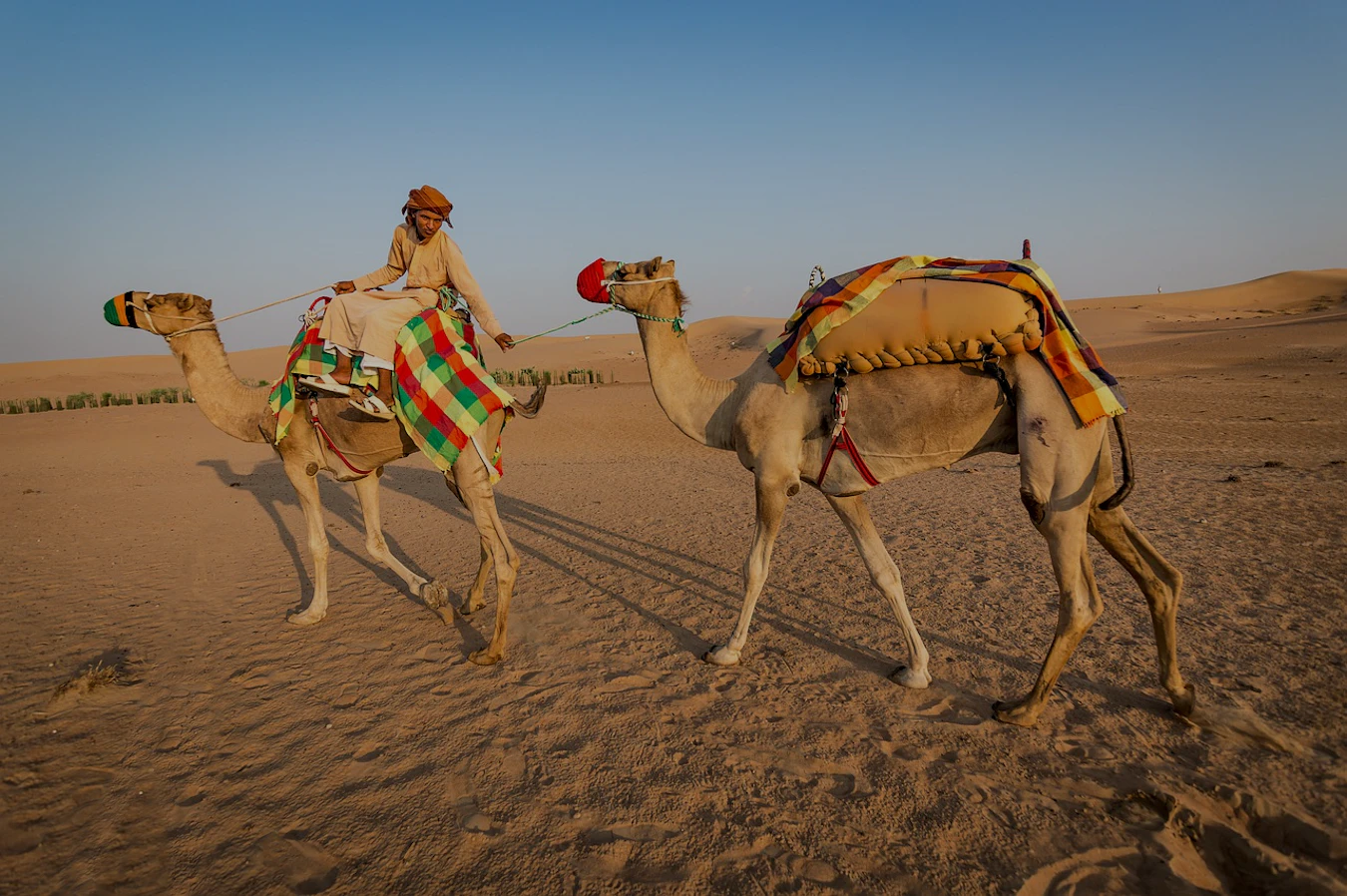 Kamel reiten Dubai