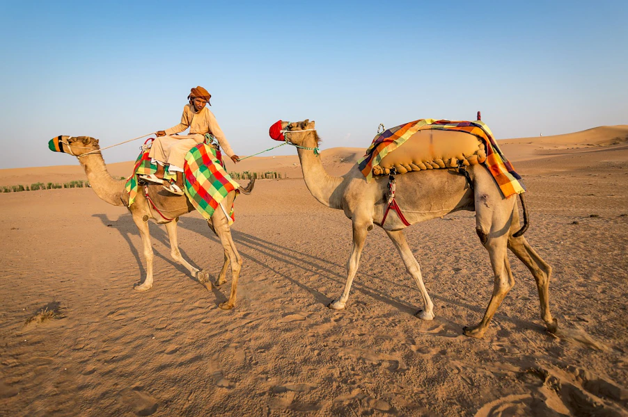 Sharjah Desert Park Timings