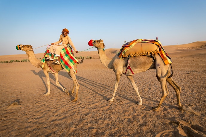 sharjah natural history and botanical museum