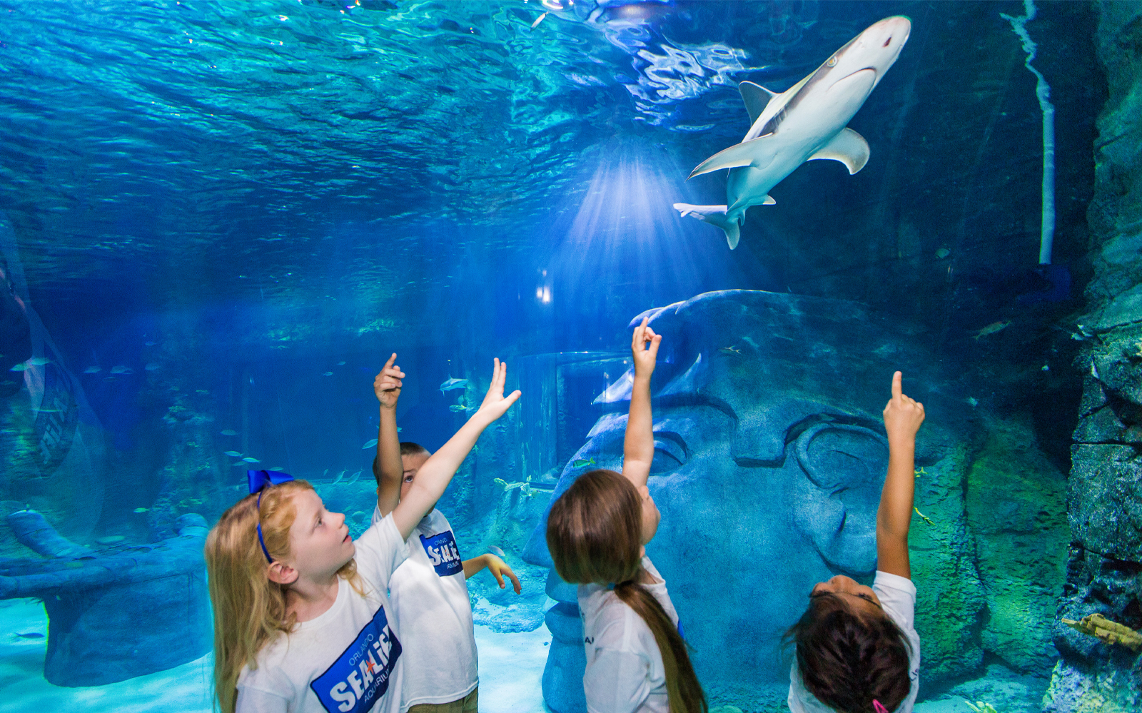 SEA LIFE Melbourne Aquarium