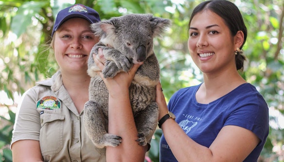 Maru Koala & Animal Park tickets