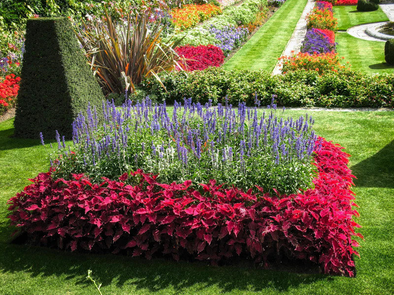 Hampton Court Maze
