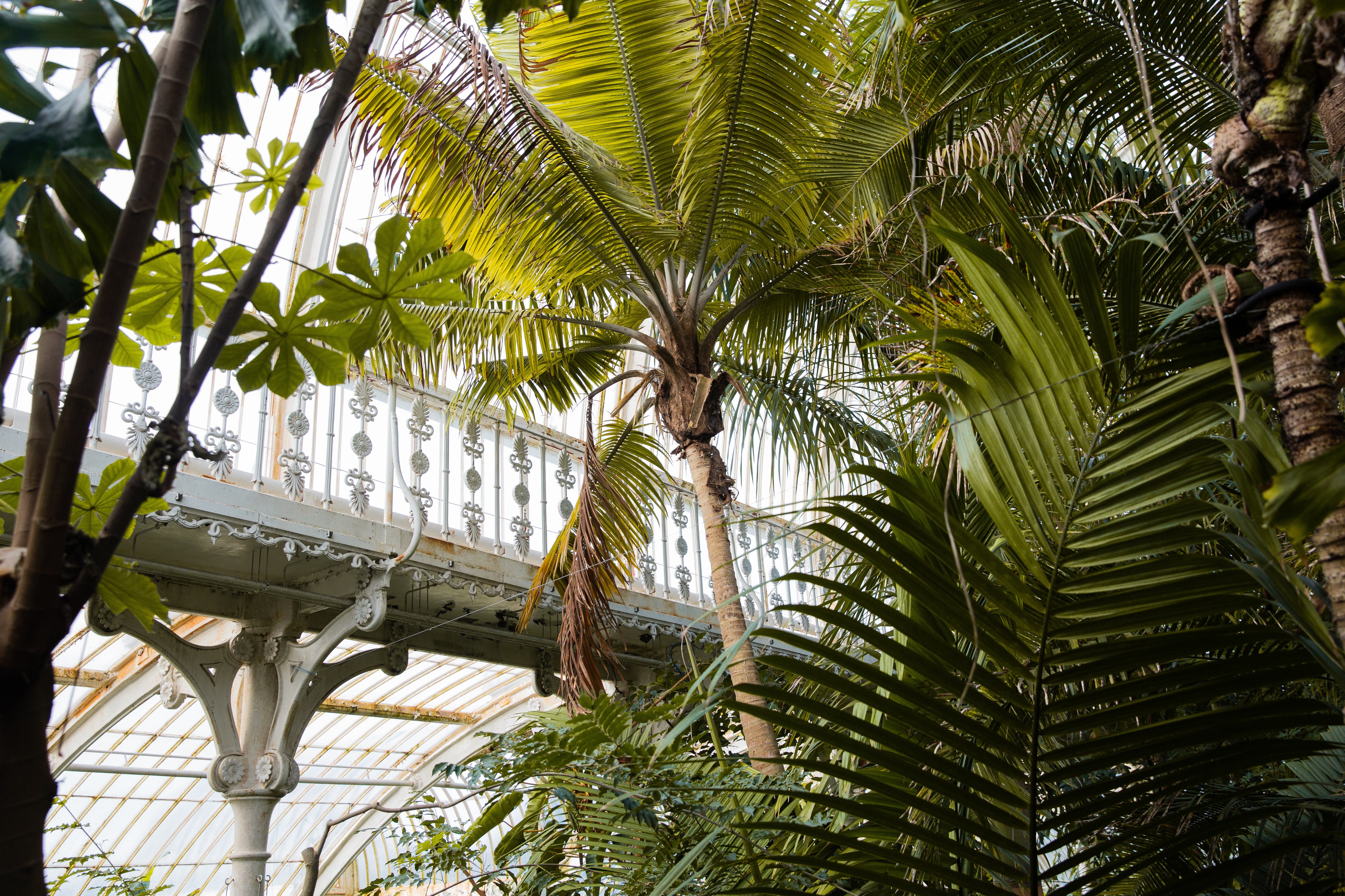 Kew Gardens Tickets | Royal Botanical Gardens London [Updated Apr 2022]