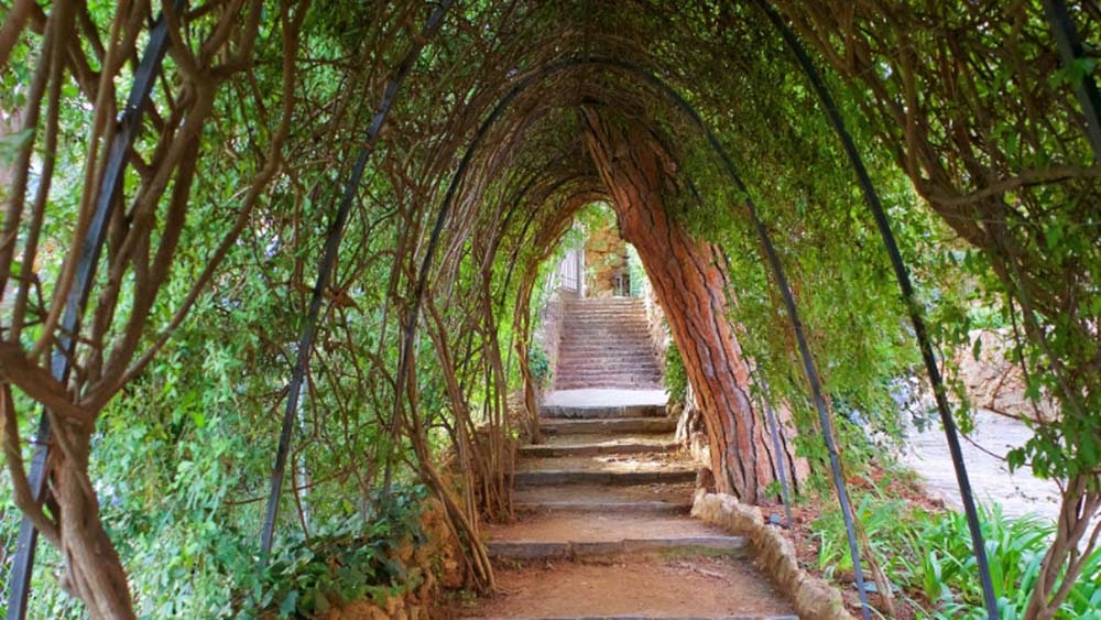 Gaudi Garden