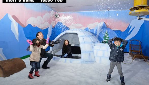 Singapore Snow City