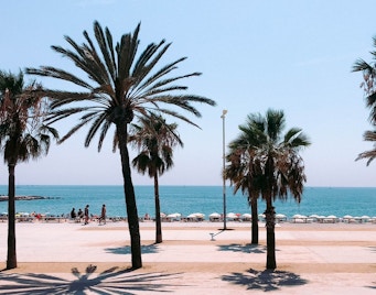things to do in barcelona - beaches