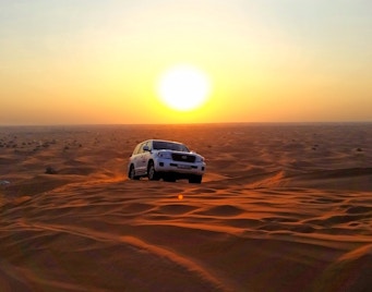 Safári no deserto pela manhã