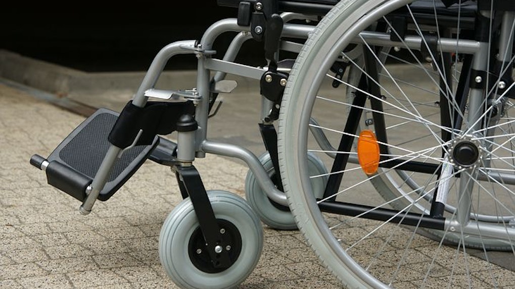 wild life sydney zoo tickets wheelchair