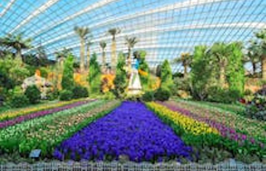 gardens by the bay events