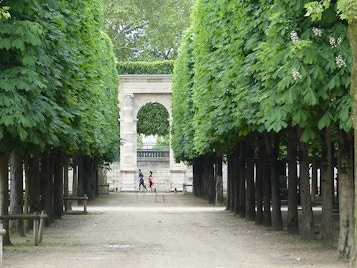 Paris in May- Garden 