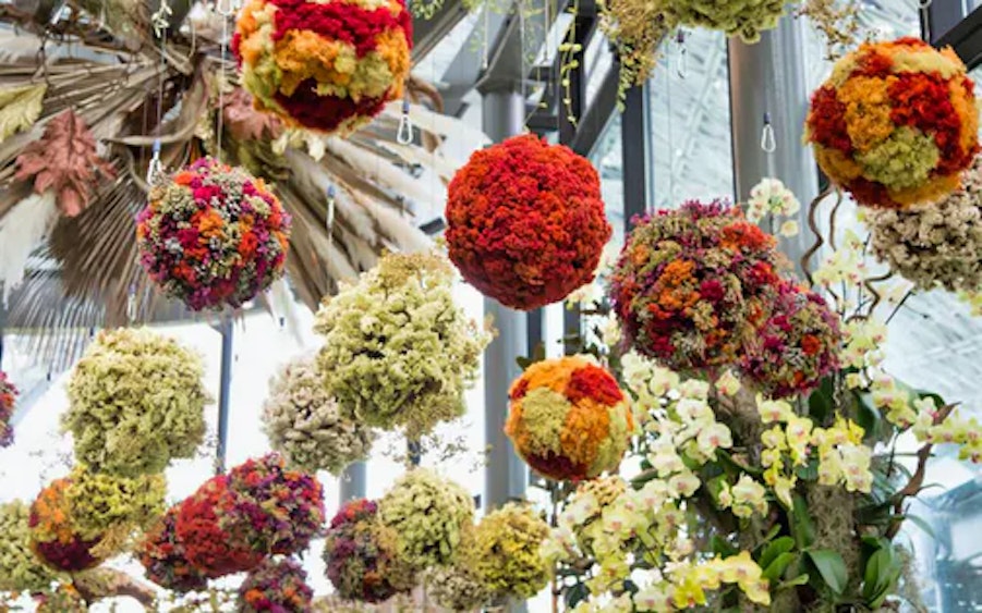 Floral Fantasy