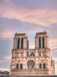 Paris in August- Notre Dame Cathedral 