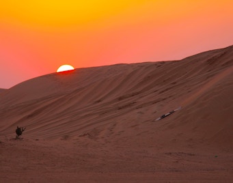 Safári no deserto à noite