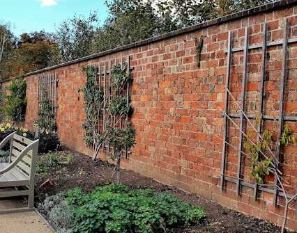 Hampton Court Gardens
