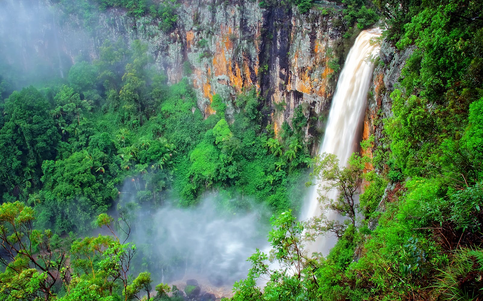 Book Springbrook National Park Tickets 2024 | Australia Day Tours