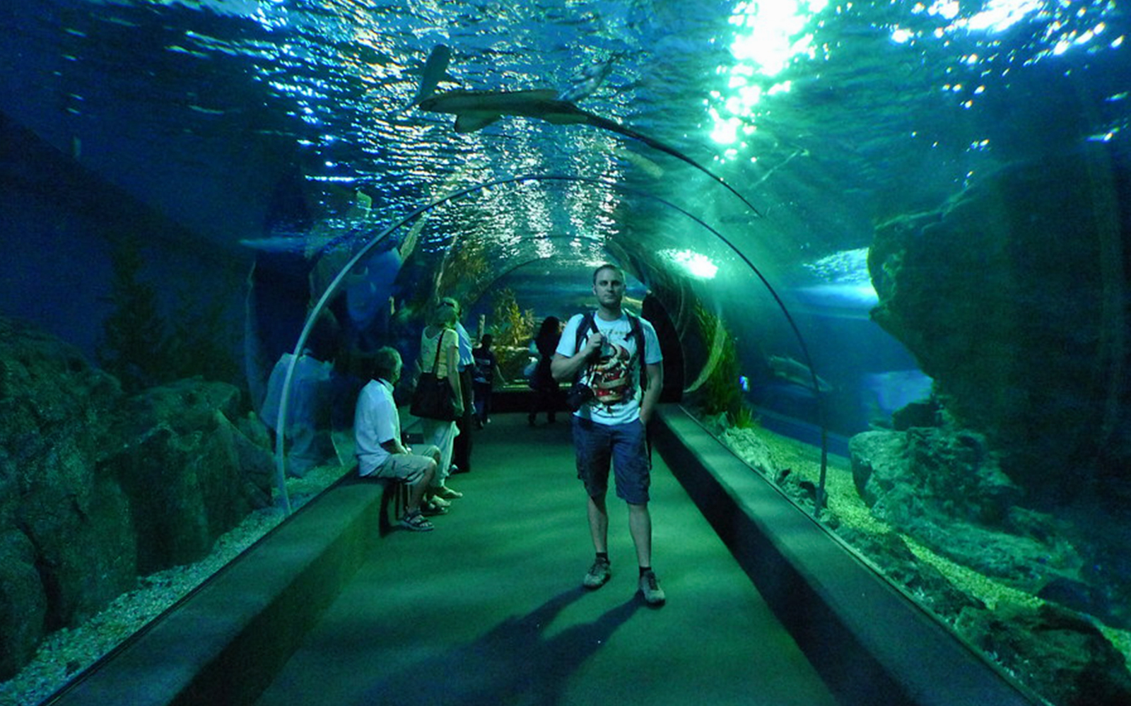 SEA LIFE Sydney Aquarium   812f8f26 10be 4eb6 A4aa B8fc4e6ce0ea Sealife Bangkok3 