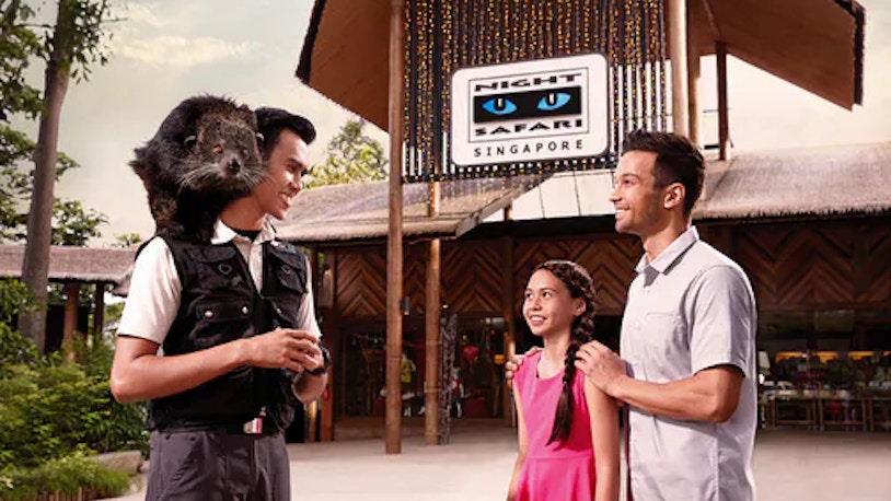 night safari and zoo Night Safari Singapore Tickets