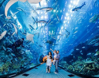 Dubai City Travel Guide - Dubai Aquarium and Underwater Park
