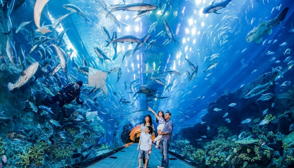Dubai in May - Dubai Aquarium 