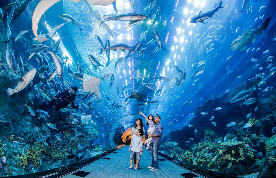 dubai aquarium underwater zoo