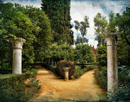 Alcázar Gardens - alcazar seville highlights