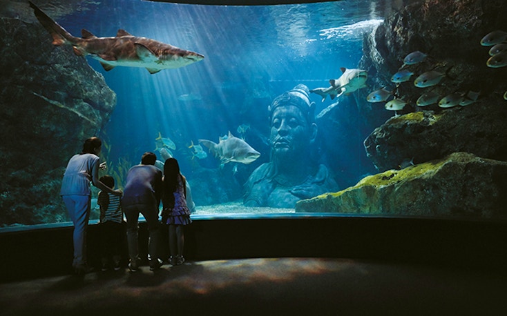 sea life sydney aquarium tickets