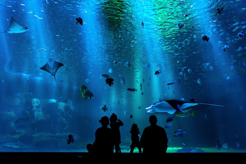Aquarium Barcelone