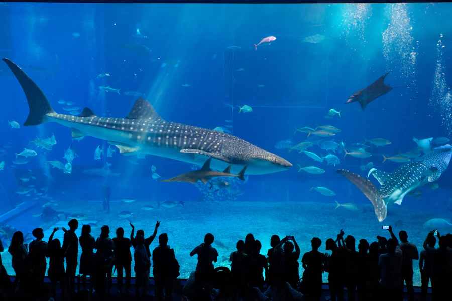 Georgia Aquarium Hours