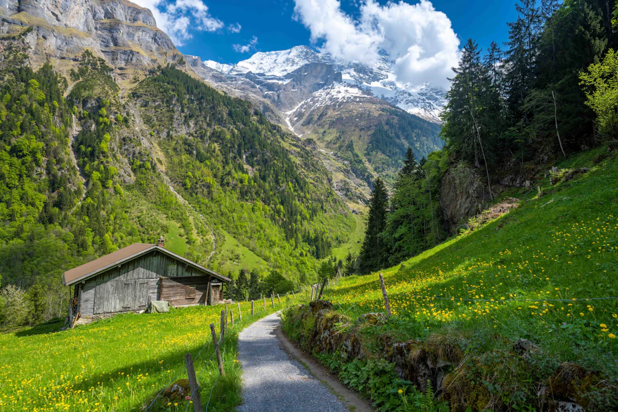 Jungfraujoch Timings