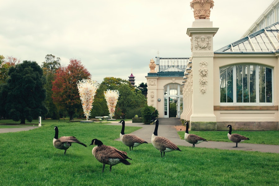 Kew gardens address