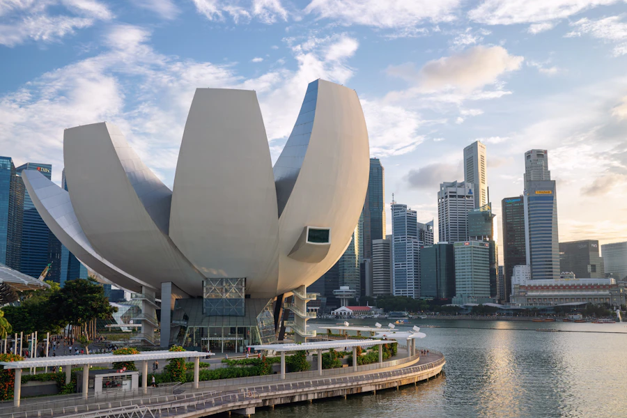 Art Science museum Exhibitions