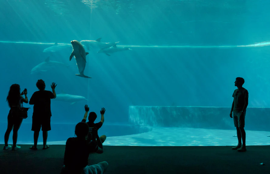 Genoa Aquarium opening hours