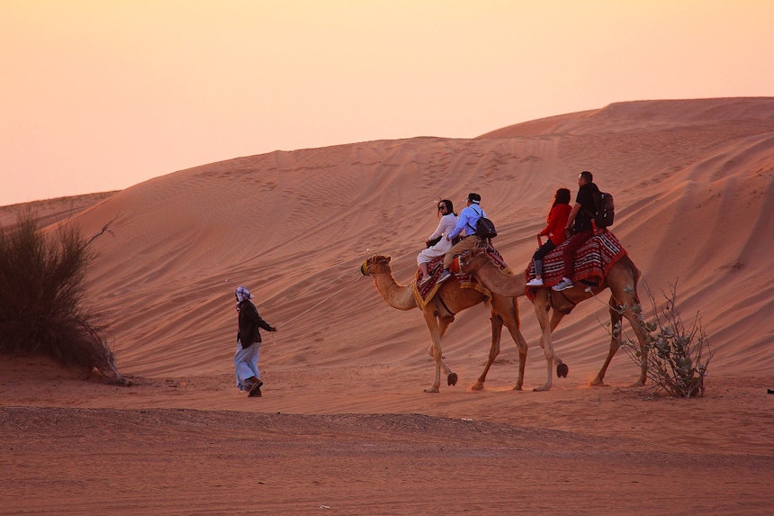 camel rides in dubai