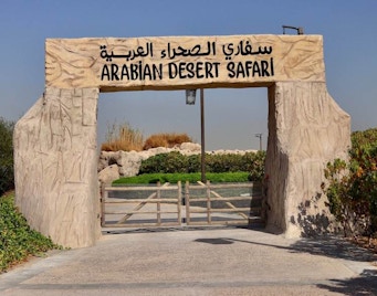 safari no deserto árabe dubai safari park