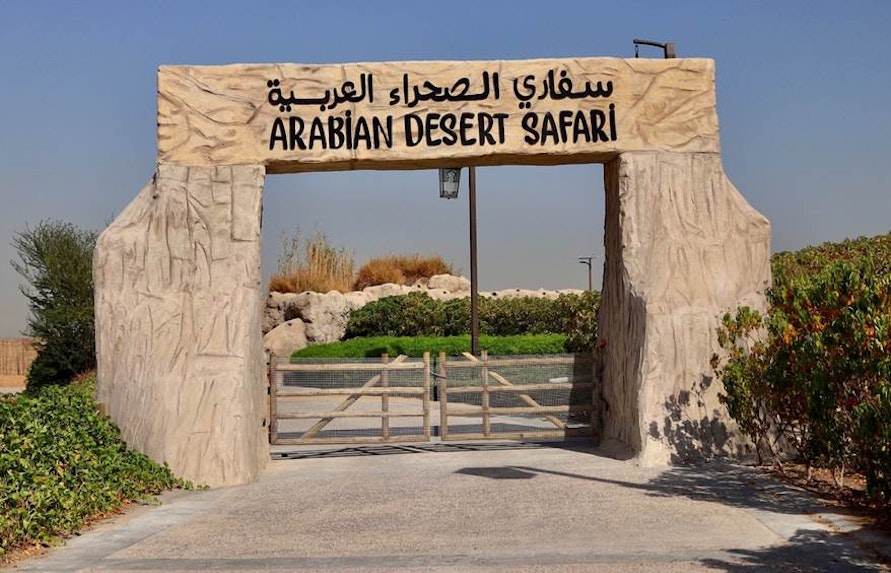 safari por el desierto de Arabia dubai safari park