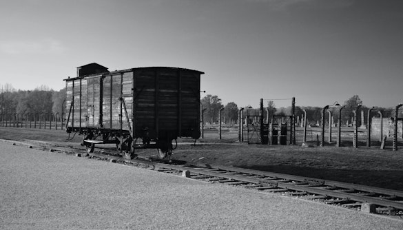 Histórias de Auschwitz: Transporte