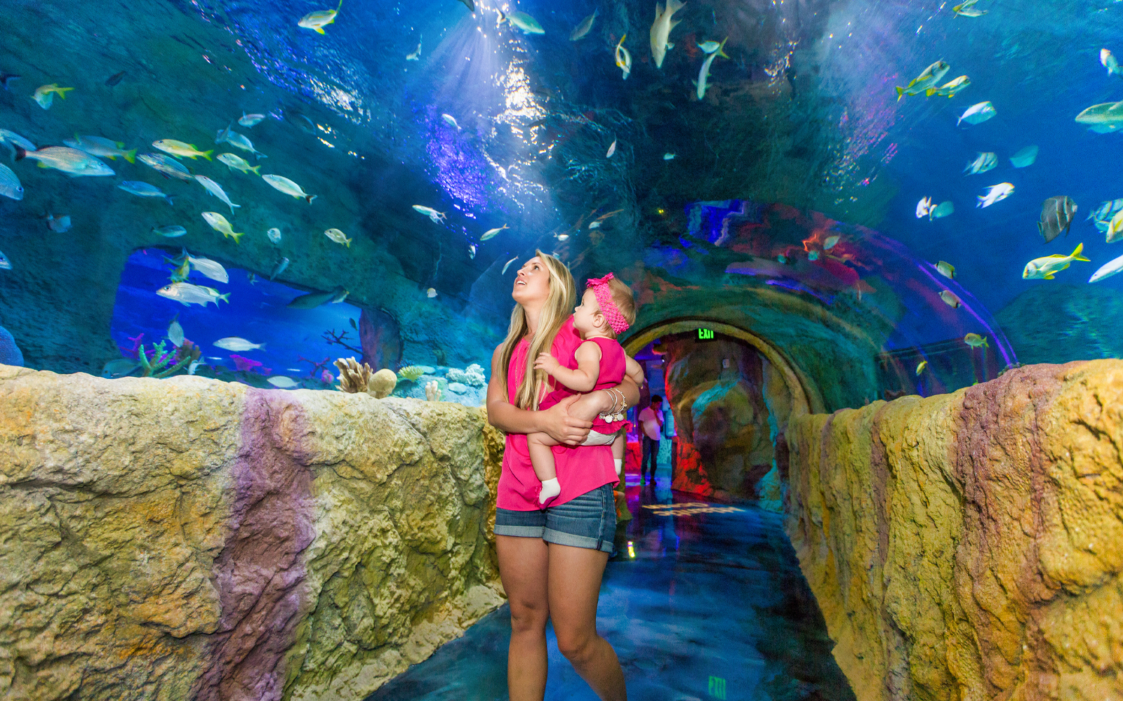 Book SEA Life Orlando Tickets Updated 2021   A0e18aeb 0c53 4e17 881d D80b5b69bd10 D983134f 0906 408c 91f6 5abae3324700 14725 Orlando Madame Tussauds   Sealife Orlando   Combo Ticket 05 