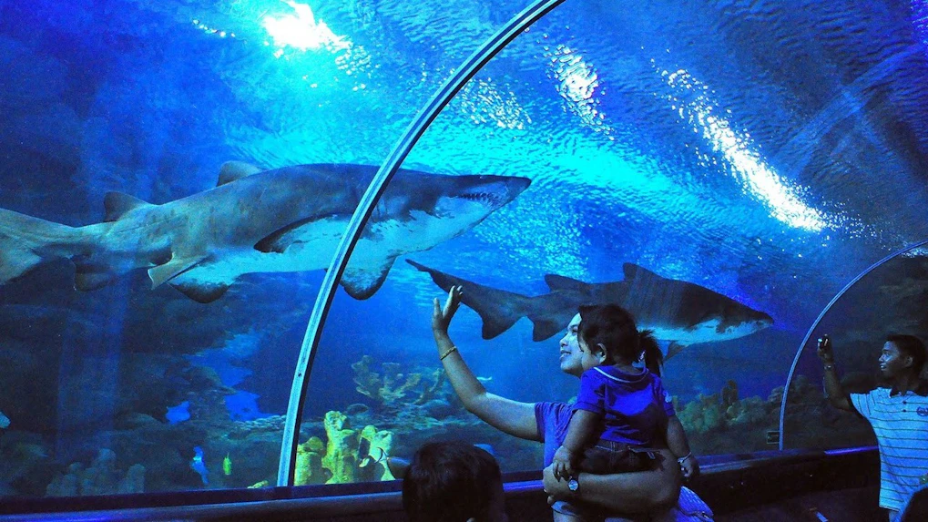 About Aquaria KLCC