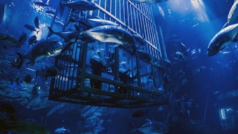 acuario y zoo submarino de dubai
