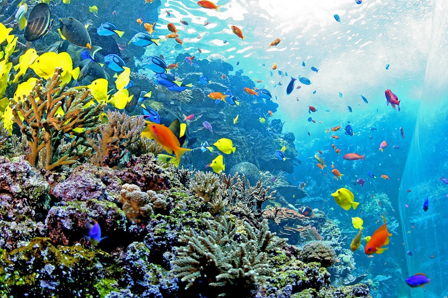 Guide to all the Aquarium Exhibits