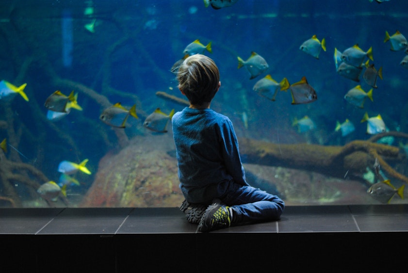 Barcelona Aquarium bezoeken