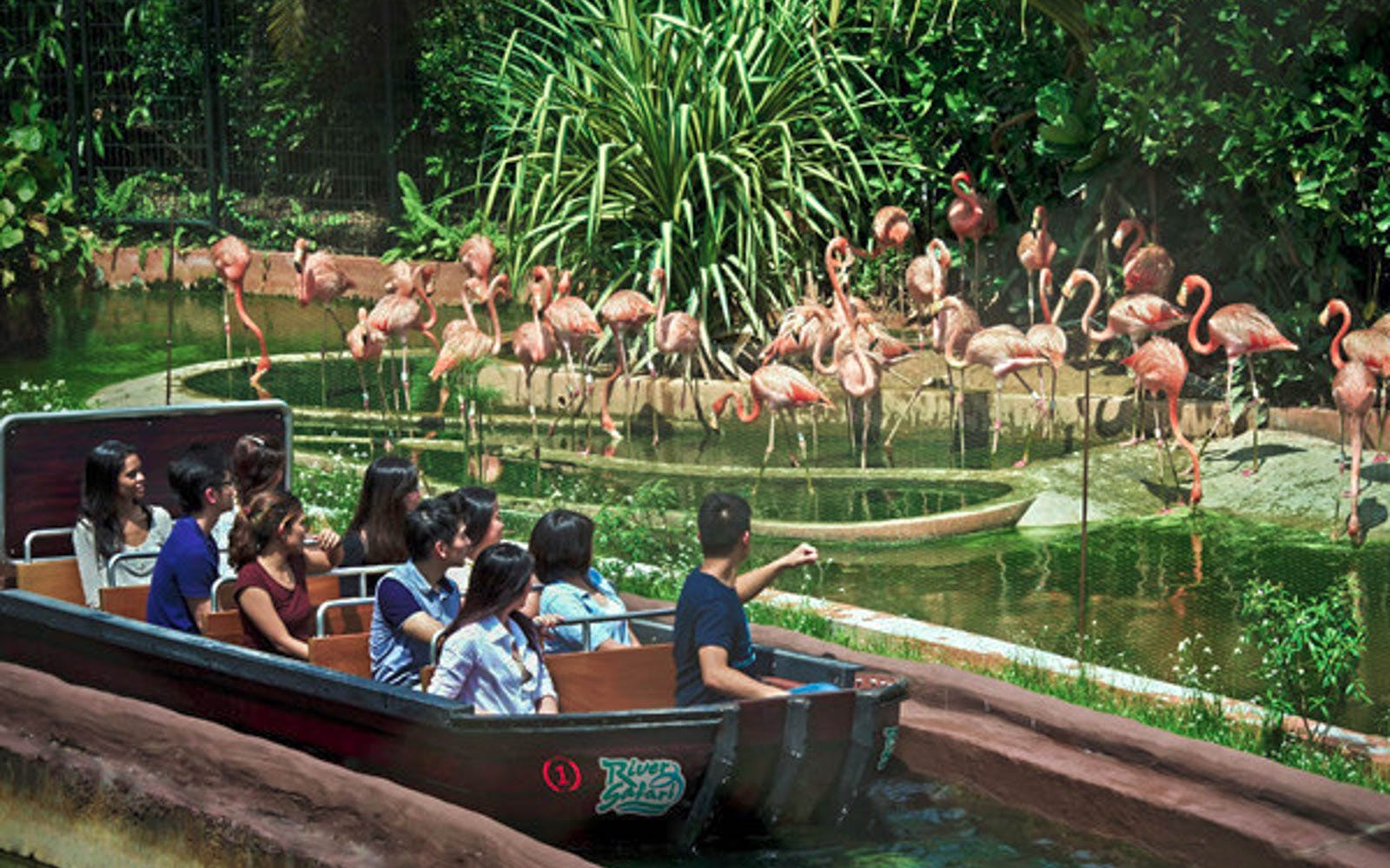 safari world bangkok activities