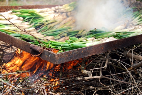 Calcots