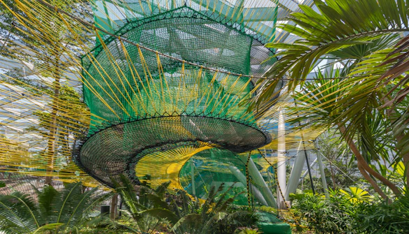 Jewel Changi Opening Hours