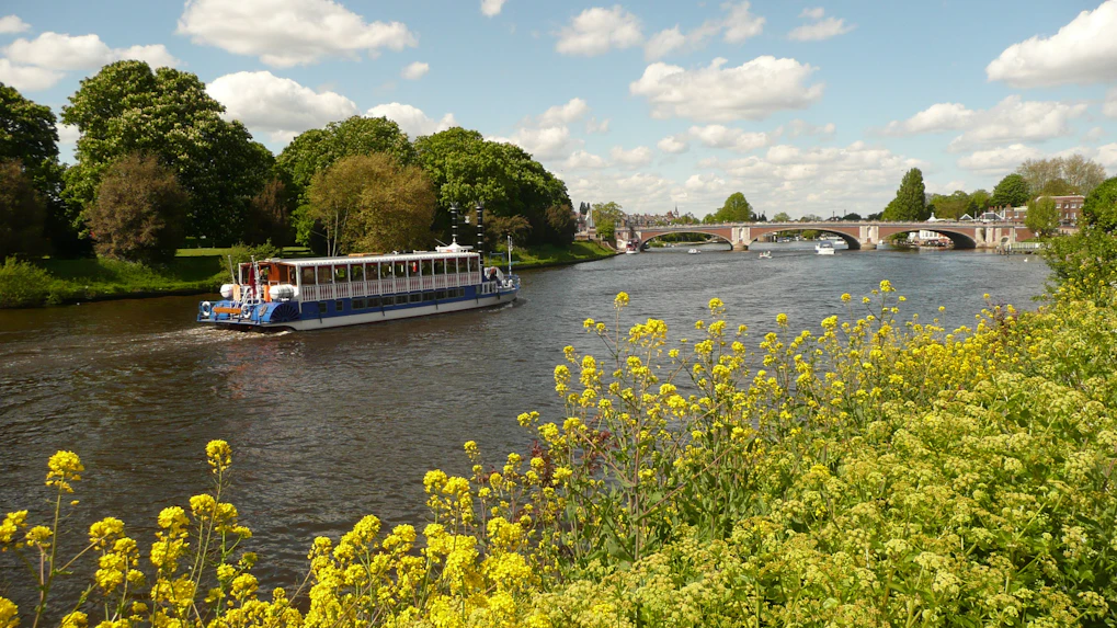 Hampton Court Boats