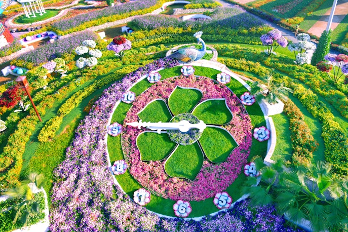Miracle Garden Dubai reloj floral