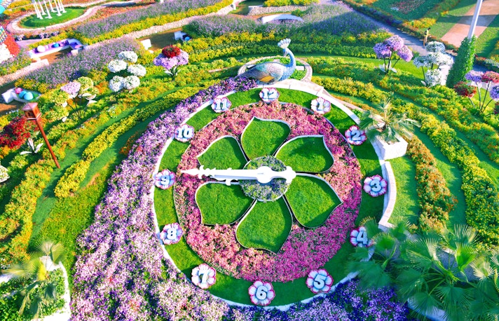 Miracle Garden Dubai reloj floral