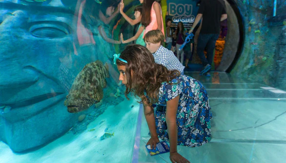 Februar London SEA Life