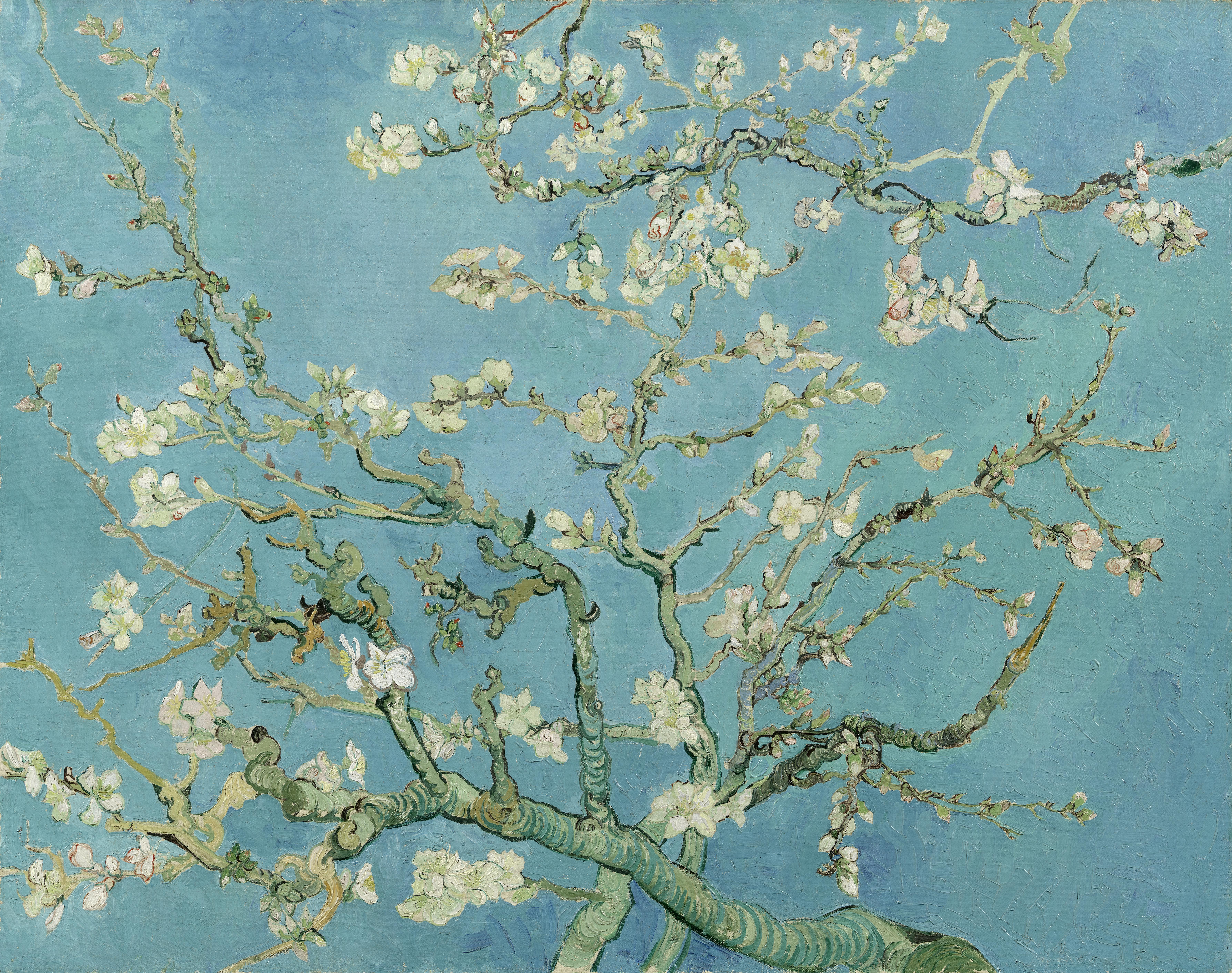 van gogh museum reservations